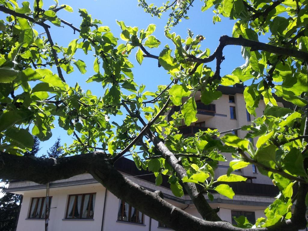 La Torretta Hotel Challand-Saint-Anselme Buitenkant foto